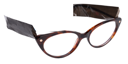 Eyeglass Protector Black 200 Sleeves