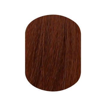 ELEVEN Australia Colour Perm Copper Shades