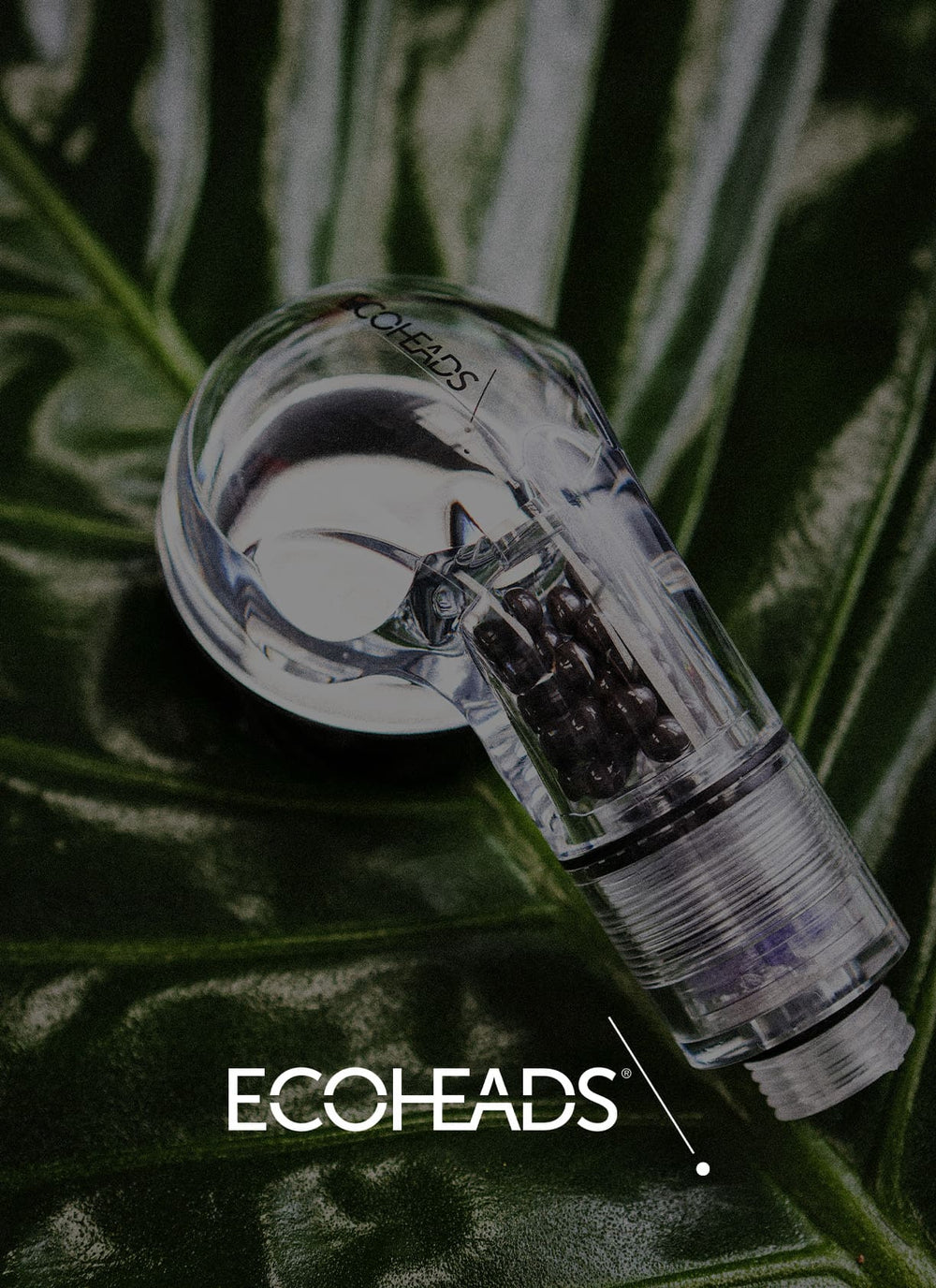 ECOHEADS